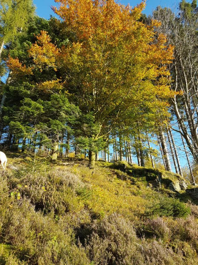freundliche Unterkunft Sauerland Meschede Exterior foto